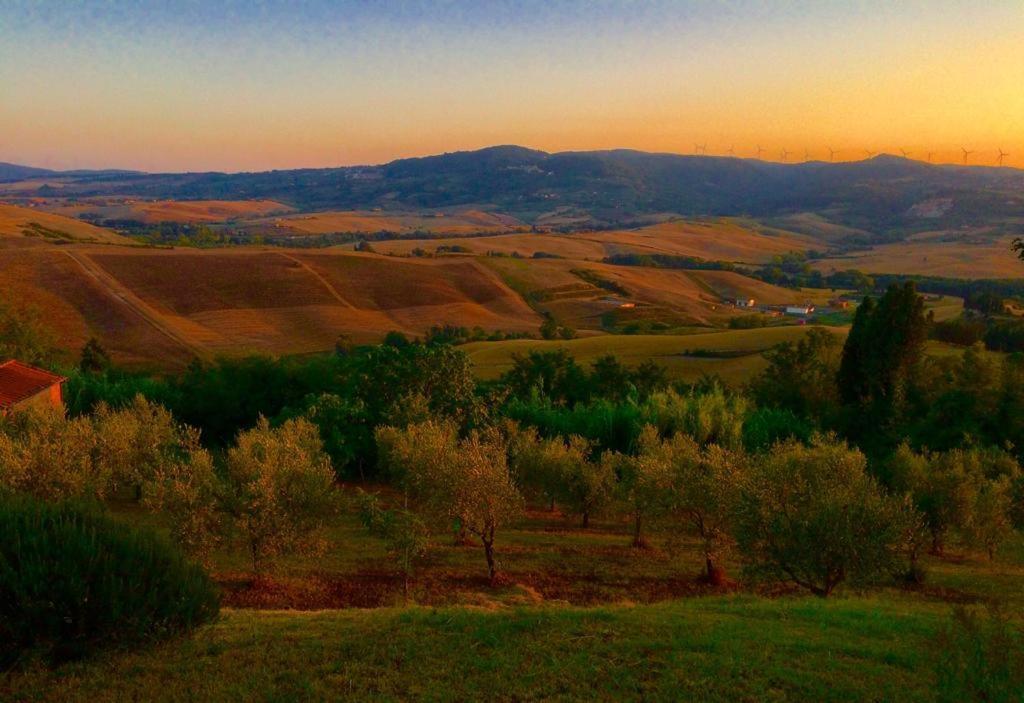 Апартаменты Poggio Magginga Terricciola Экстерьер фото