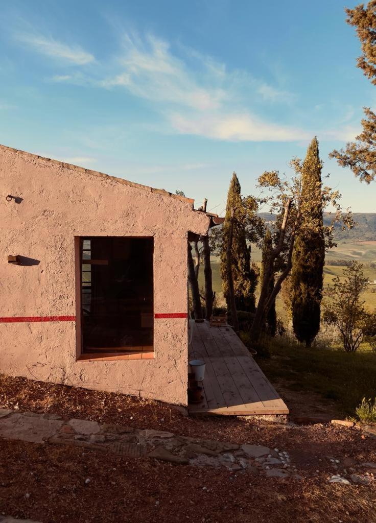 Апартаменты Poggio Magginga Terricciola Экстерьер фото